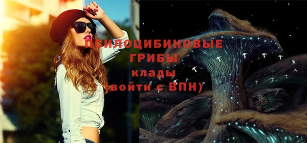 apvp Лагань