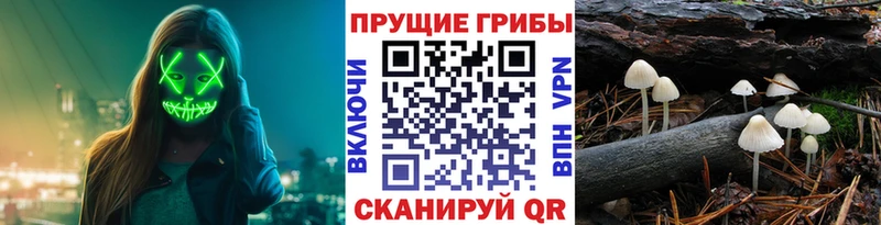 Псилоцибиновые грибы мухоморы  Михайловка 