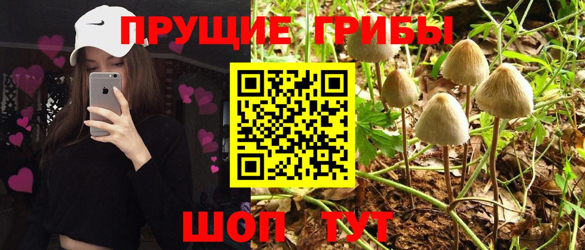 Галлюциногенные грибы Magic Shrooms Михайловка