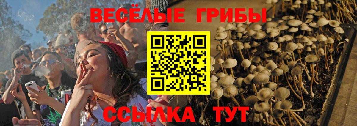 Псилоцибиновые грибы Magic Shrooms  Вход с VPN  Михайловка 